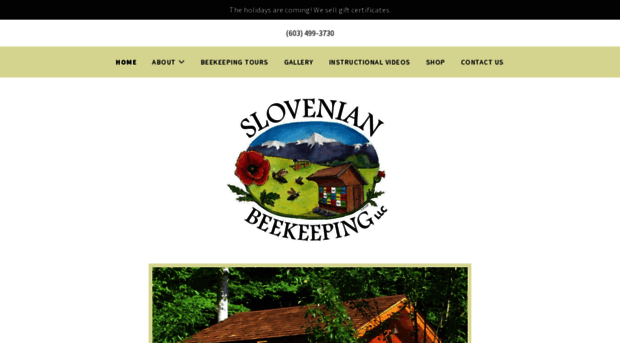 slovenianbeekeeping.com