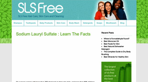 slsfree.net