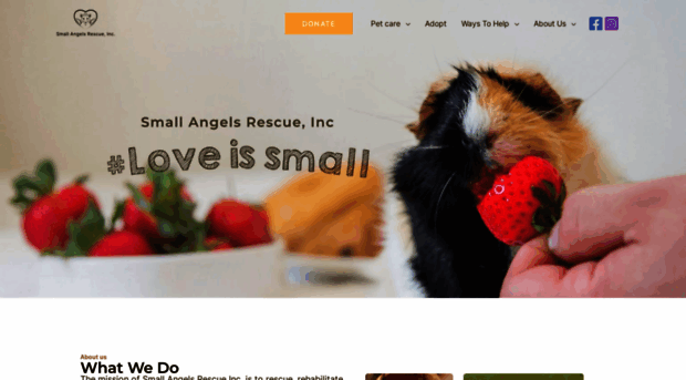 smallangelsrescue.org