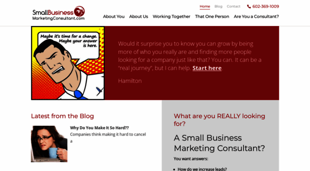 smallbusinessmarketingconsultant.com