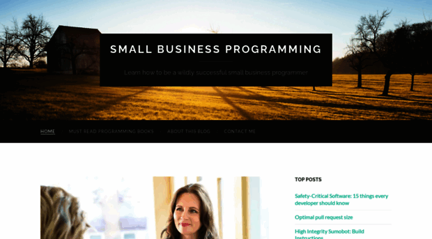 smallbusinessprogramming.com