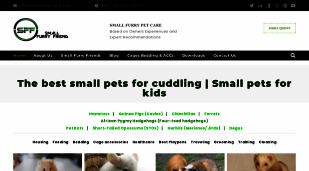 smallfurryfriend.com