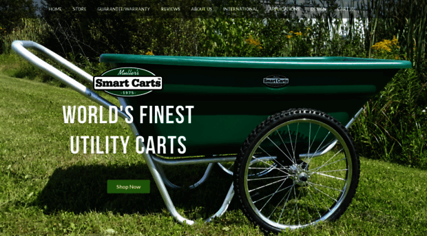 smartcarts.com