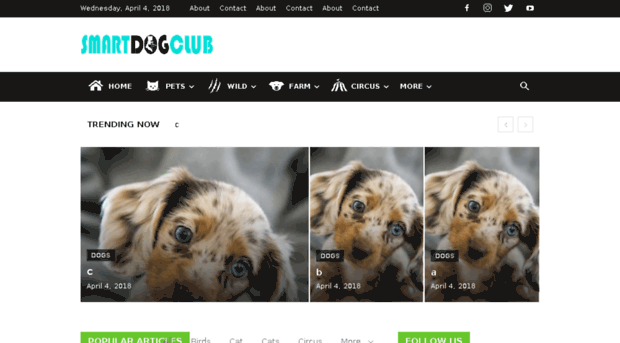 smartdogsclubs.com