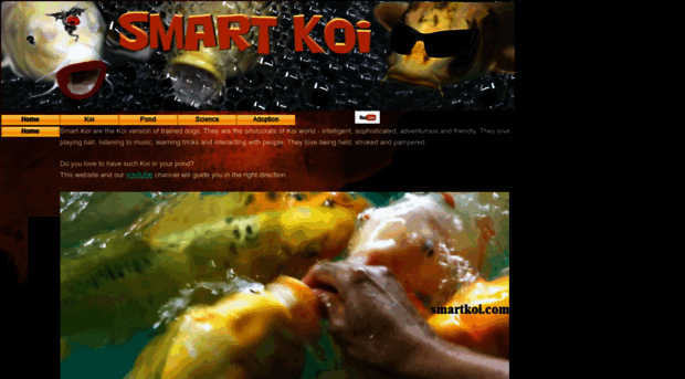 smartkoi.com