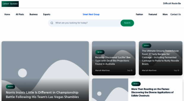 smartnestgroup.it