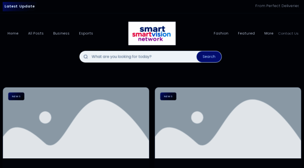 smartvisionnetwork.nl