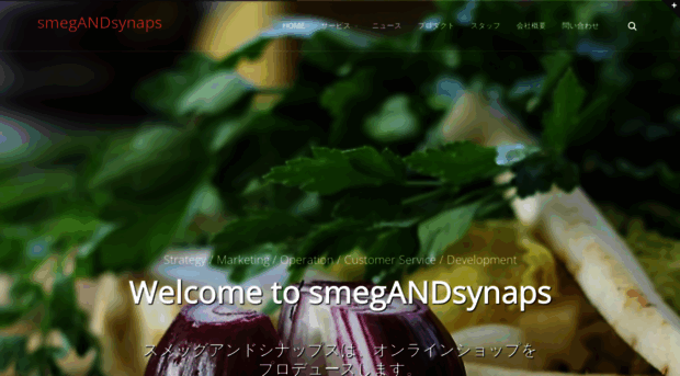 smegandsynaps.jp