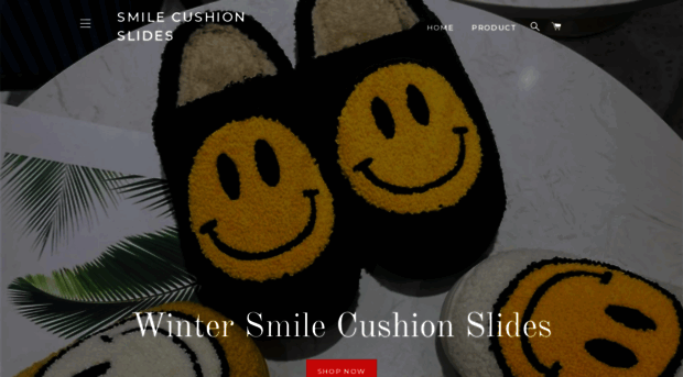 smilecushionslides.com