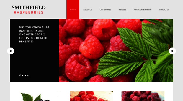 smithfieldraspberries.co.nz