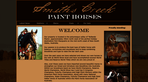 smithscreekpainthorses.com