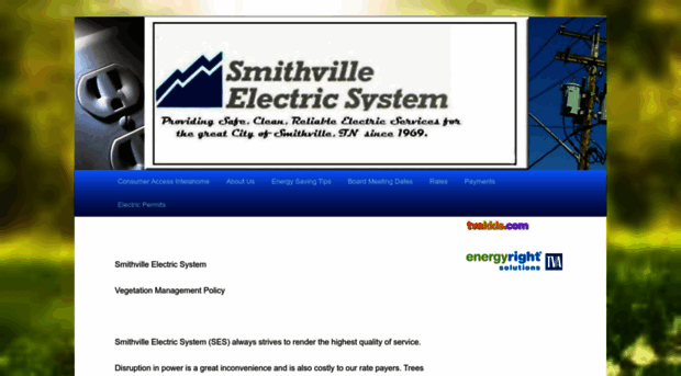 smithville-electric.com