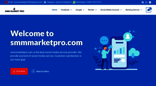 smmmarketpro.com