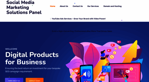 smmsolutionspanel.com