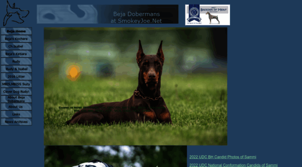 smokeyjoe.net