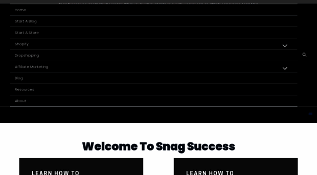 snagsuccess.com