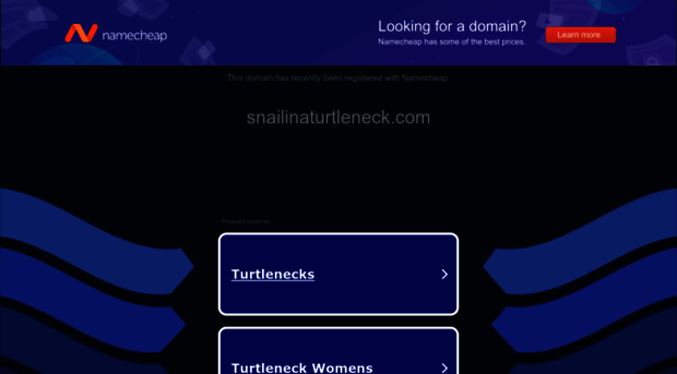 snailinaturtleneck.com
