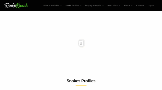 snakeranch.com.au