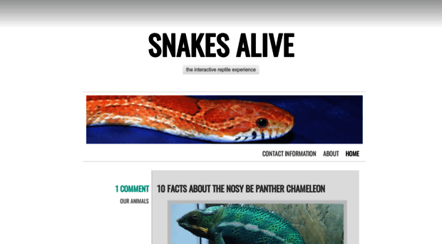 snakesaliveuk.wordpress.com
