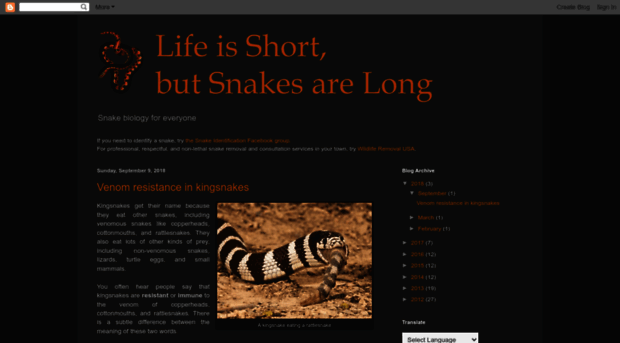 snakesarelong.blogspot.in