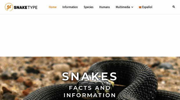 snaketype.com