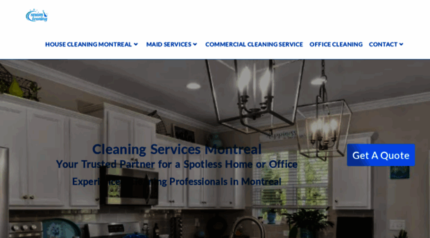 snamcleaning.com