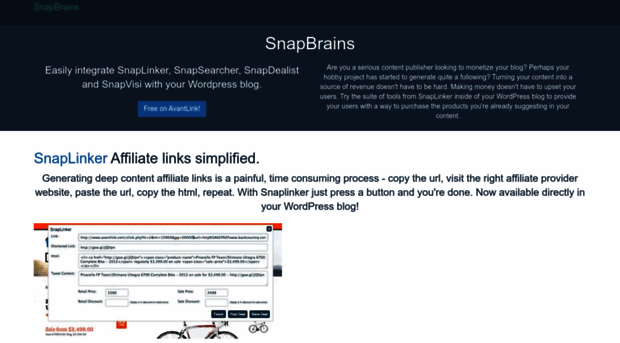 snapbrains.com
