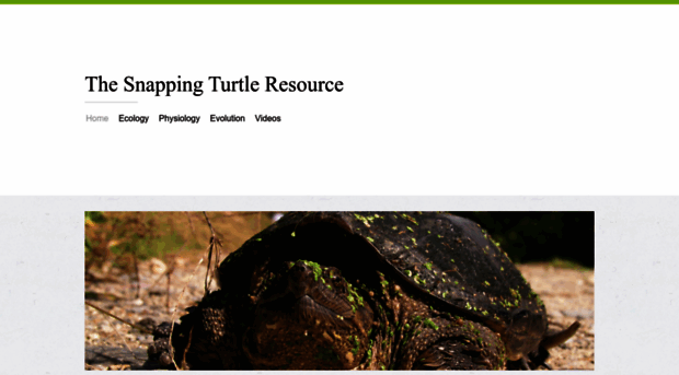 snappingturtleresource.weebly.com