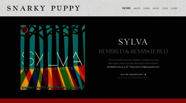 snarkypuppy.com