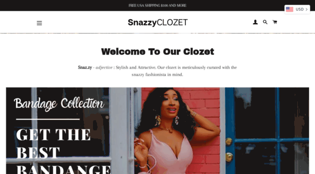 snazzyclozet.com