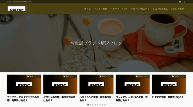 sndc.jp