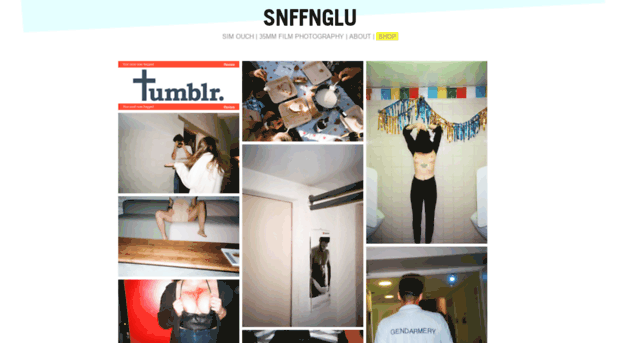 snffnglu.com