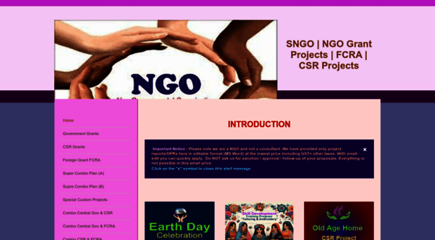 sngo.weebly.com