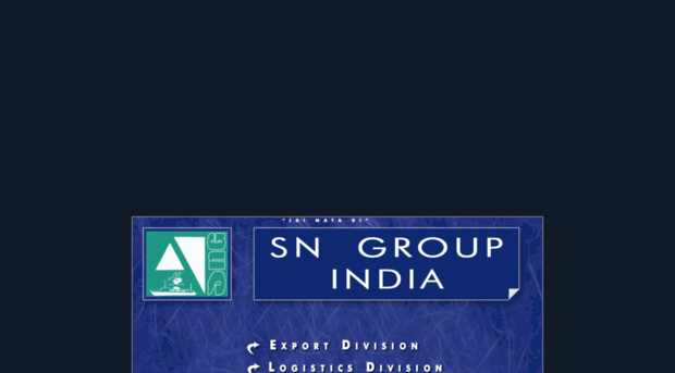 sngroupindia.com