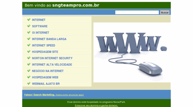 sngteampro.com.br