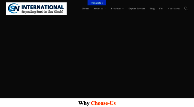 sninternational.in