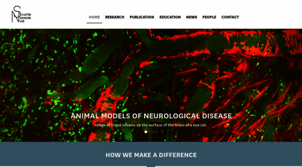 snlab.bme.cornell.edu