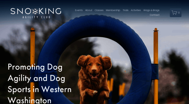 snokingagility.com