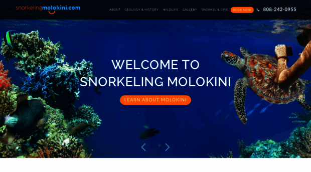 snorkelingmolokini.com