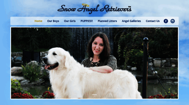 snowangelretrievers.com