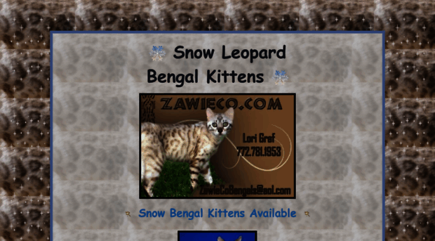 snowbengalkittensforsale.com