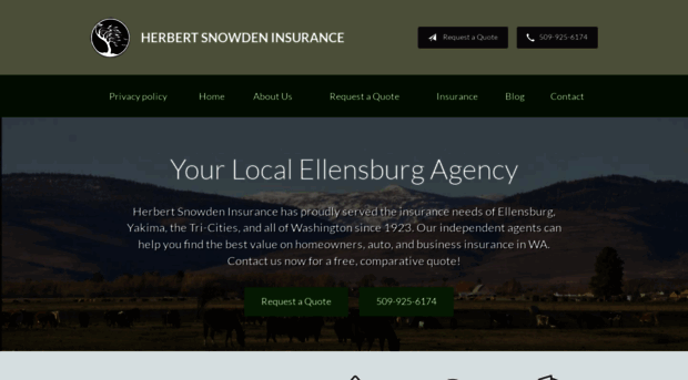 snowdeninsurance.com