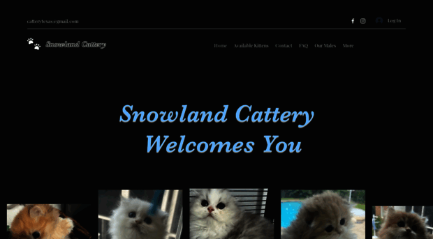 snowlandcattery.net