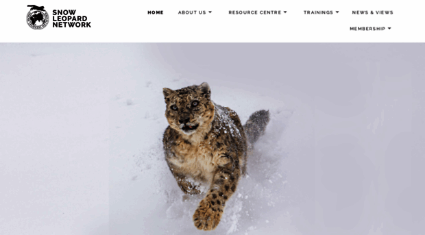 snowleopardnetwork.org