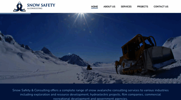 snowsafetyandconsulting.com