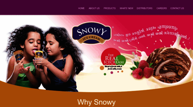 snowyicecream.com