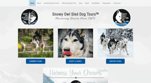 snowyowltours.com