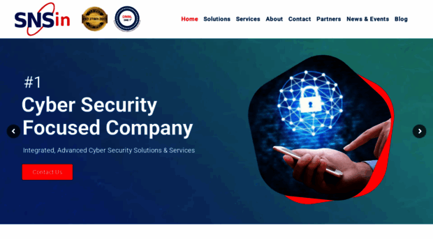 snsin.com
