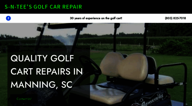 snteesgolfrepair.com