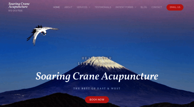 soaringcraneacupuncture.com